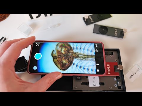 YouTube-Video-Thumbnail