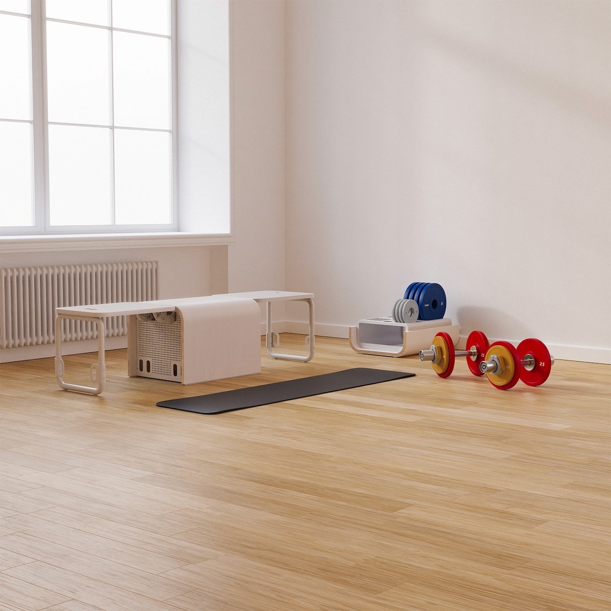TonerBox Home-Gym-System