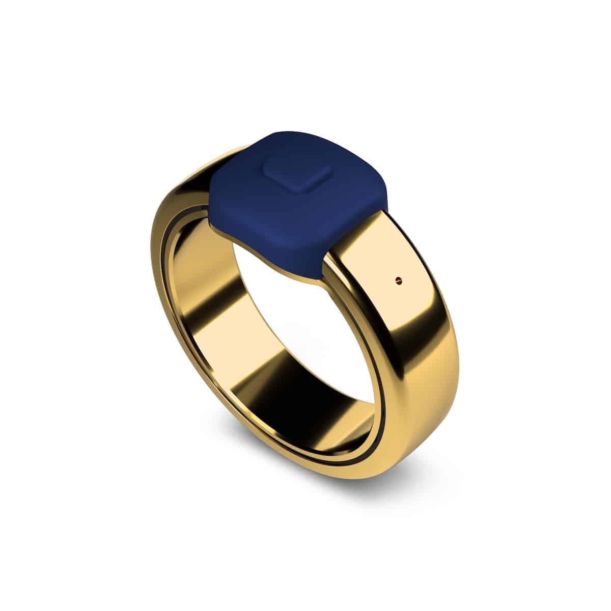Pebble Index 01 Smartring in Gold