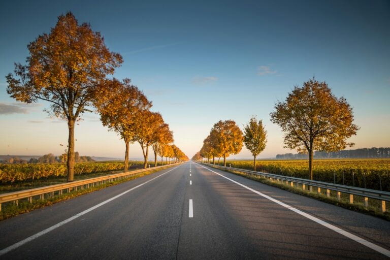 roadtrips in deutschland Die coolsten Roadtrips in Deutschland